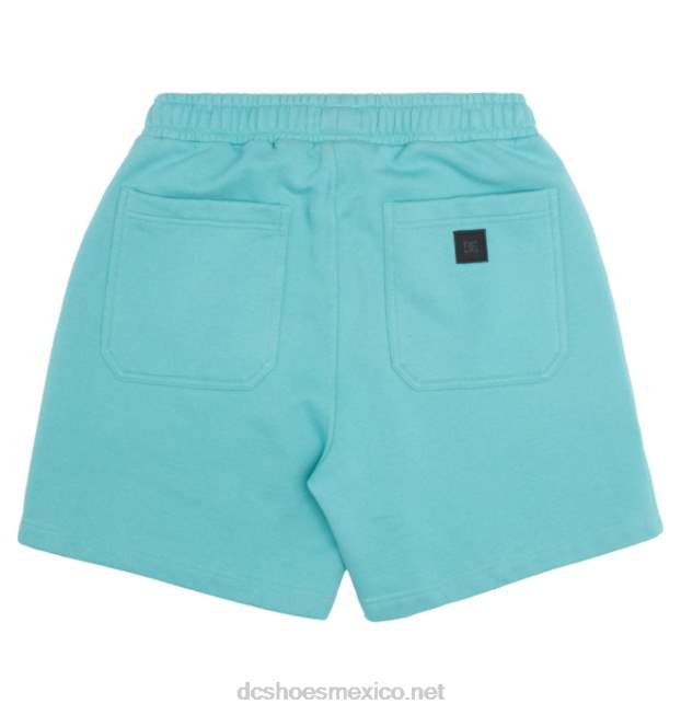 DC Shoes shorts de chándal dc 1994 para hombre VGJFD48 tinte de prendas de vestir meadowbrook