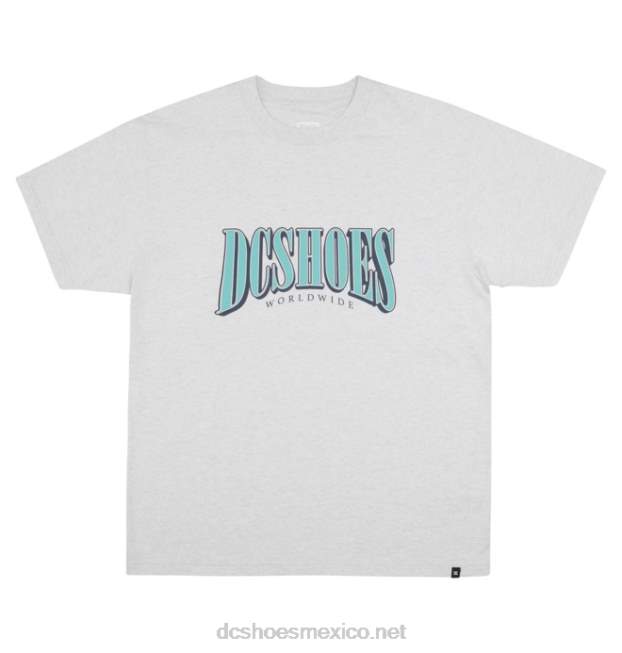 DC Shoes camiseta de hombre con pila alta VGJFD4119 brezo de nieve