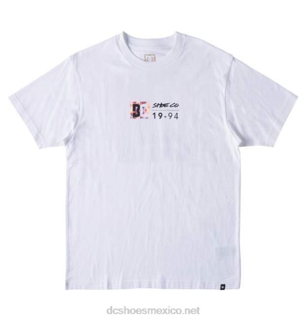 DC Shoes camiseta de hombre dc split star VGJFD4129 tinte de hielo blanco / cálido