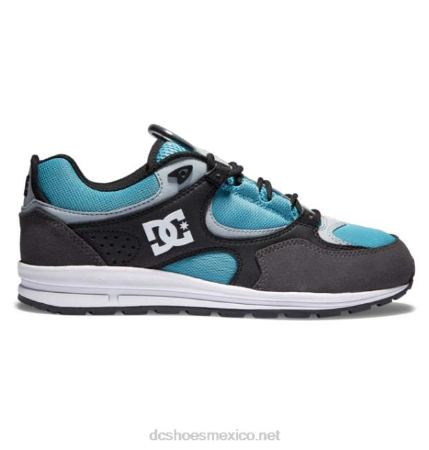 DC Shoes zapatillas de skate kalis lite para hombre VGJFD4175 negro/gris/azul