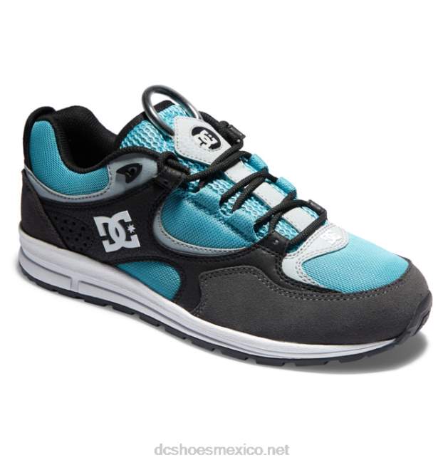 DC Shoes zapatillas de skate kalis lite para hombre VGJFD4175 negro/gris/azul
