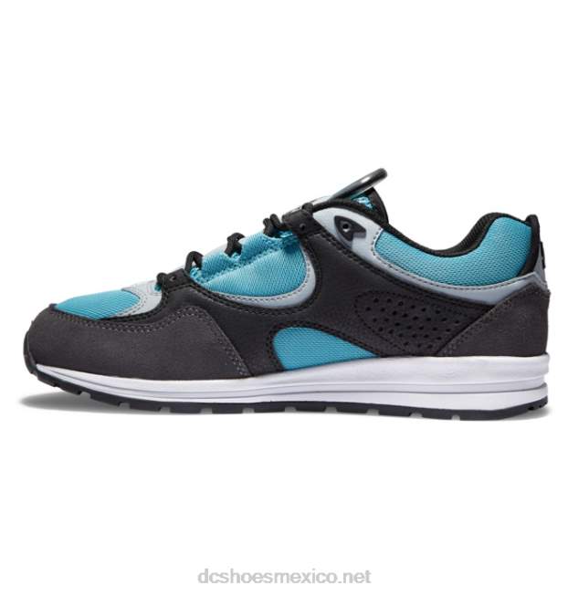 DC Shoes zapatillas de skate kalis lite para hombre VGJFD4175 negro/gris/azul