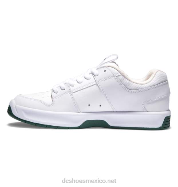 DC Shoes zapatillas de skate lynx zero para hombre VGJFD4236 blanco verde