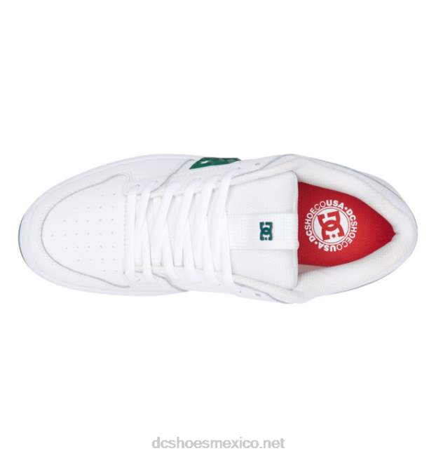 DC Shoes zapatillas de skate lynx zero para hombre VGJFD4236 blanco verde
