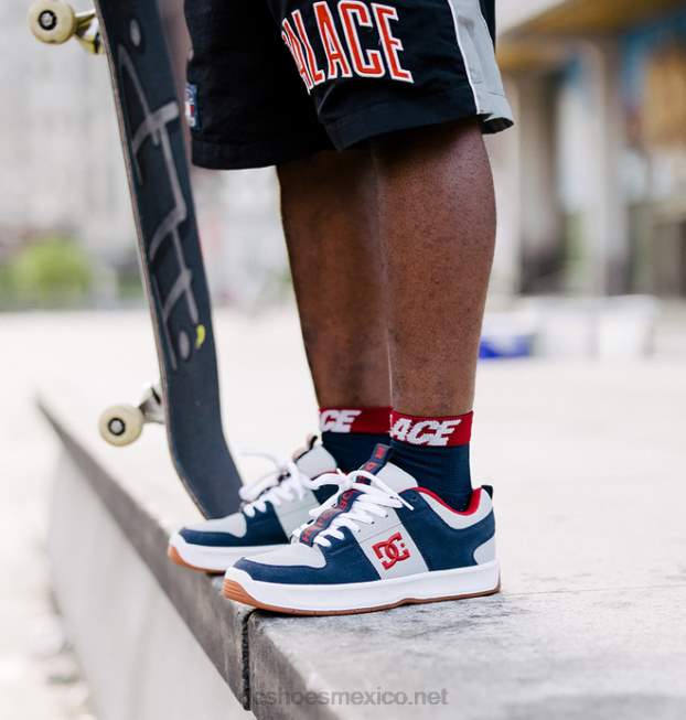 DC Shoes zapatos de hombre lynx zero skate jahmir marrón VGJFD4355 azul marino/gris